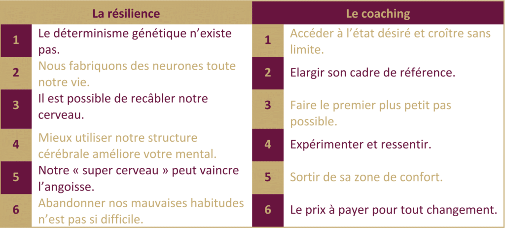 6 enseignements des neurosciences en lien avec le coaching en matière de résilience